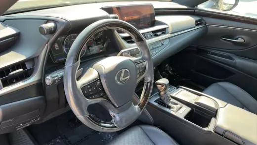 Vista 10 de 2020 LEXUS ES